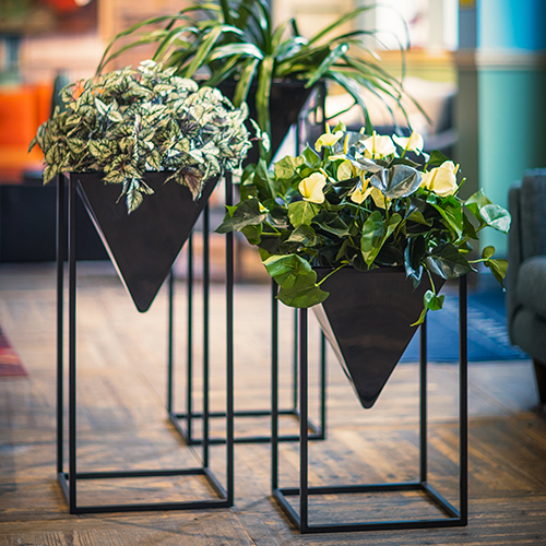 Alderley-metal plant Stand and planter-Group by europlanters