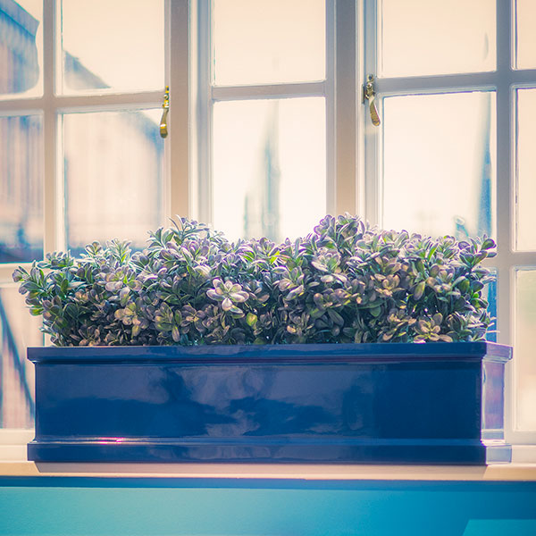 BK3-BERKELEY window box traditional planter by europlanters
