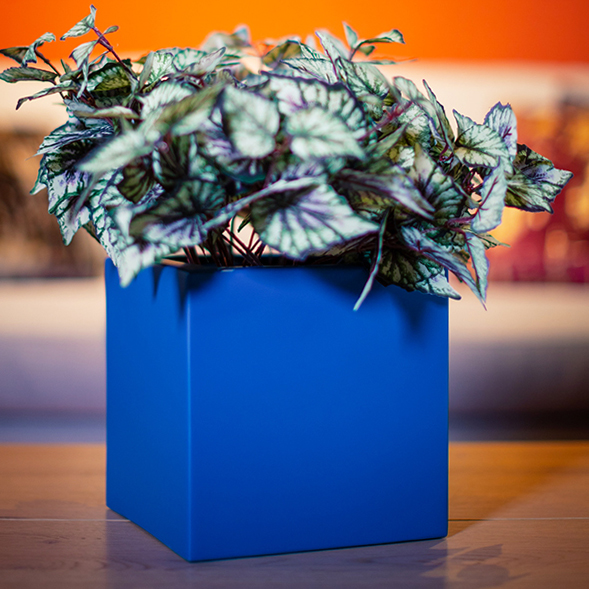 CU-20-PLANTER-CUBE by europlanters