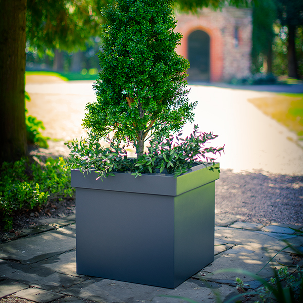 Knightsbridge-Cube-planter by europlanters KB2