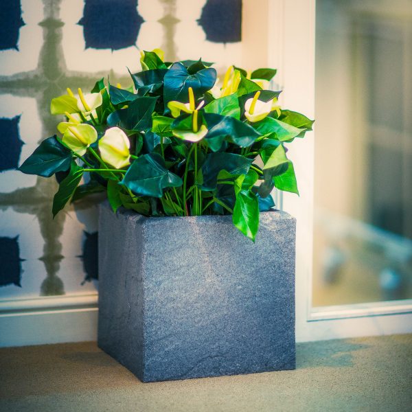SLS33-STONE-LOOK-plastic-planter by europlanters