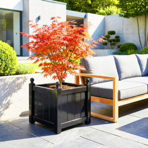 Versailles in Timber