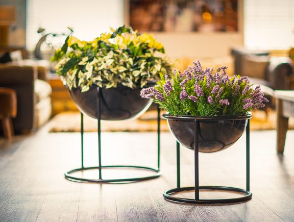 Bramley-Broad-Group-PLANTER-Stand-by Europlanters