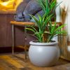 CASTLETON-CC-PLANTER-by-Europlanters