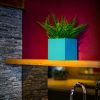 CU20-CUBE-PLANTER--by Europlanters