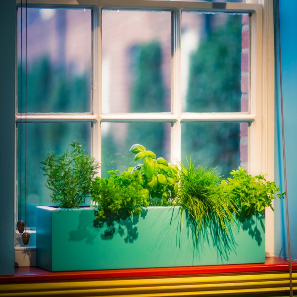 GRP-WINDOW-BOX-PLANTERS-by-Europlanters