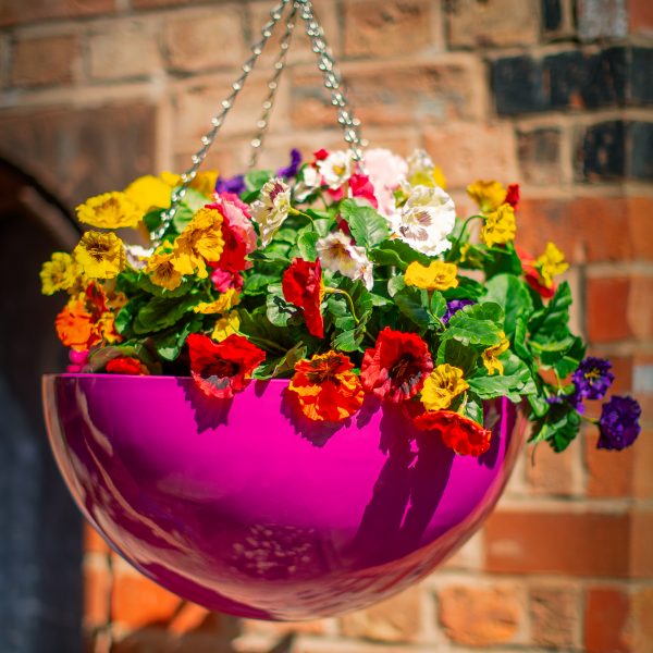 HANGING-BOWL-PLANTER-by-Europlanters
