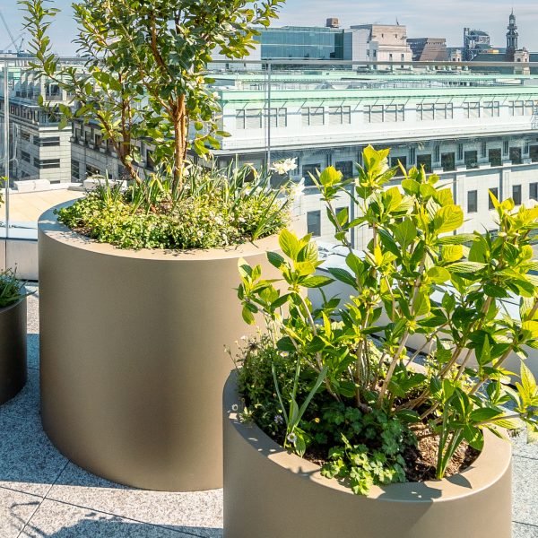 Large cylinder planter by europlanters