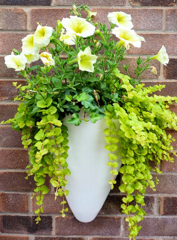Half-Cone-wall planter by-europlanters