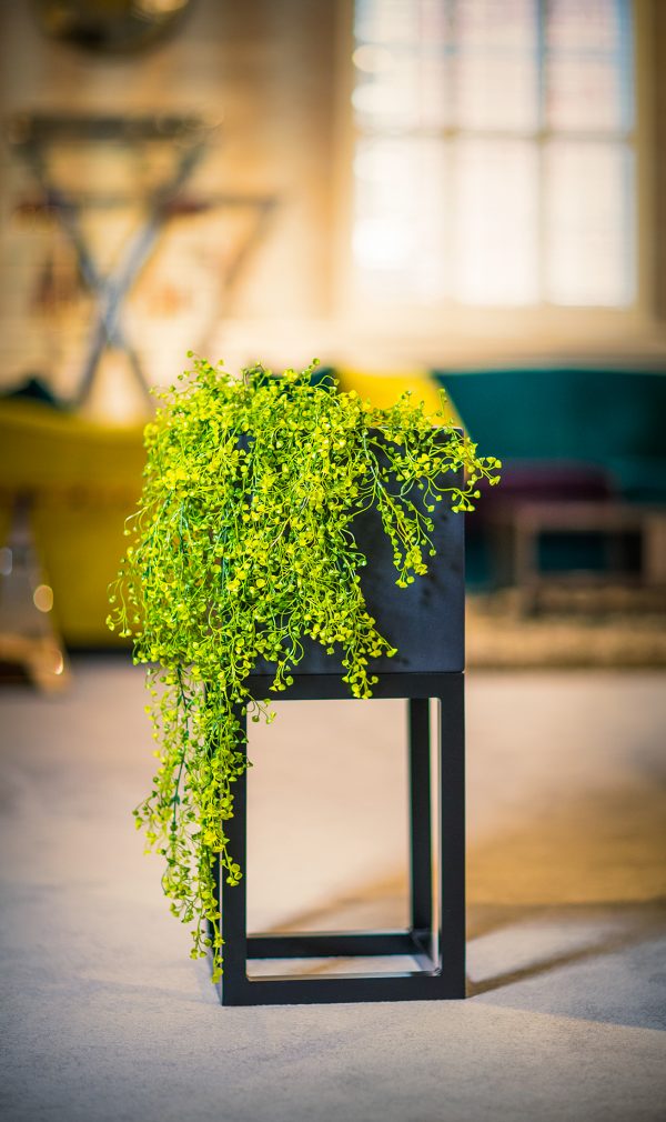 Oakley-Broad-Short-PLANTER-Stand-by Europlanters