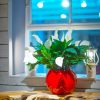 SPHERE-PLANTER--by Europlanters