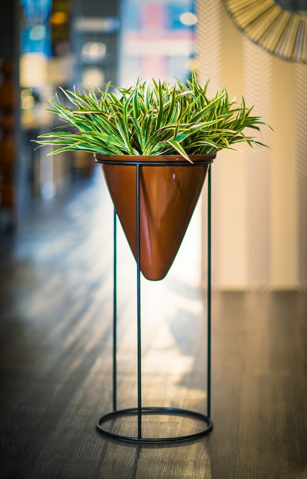 Whistley-Short-PLANTER-Stand-by Europlanters