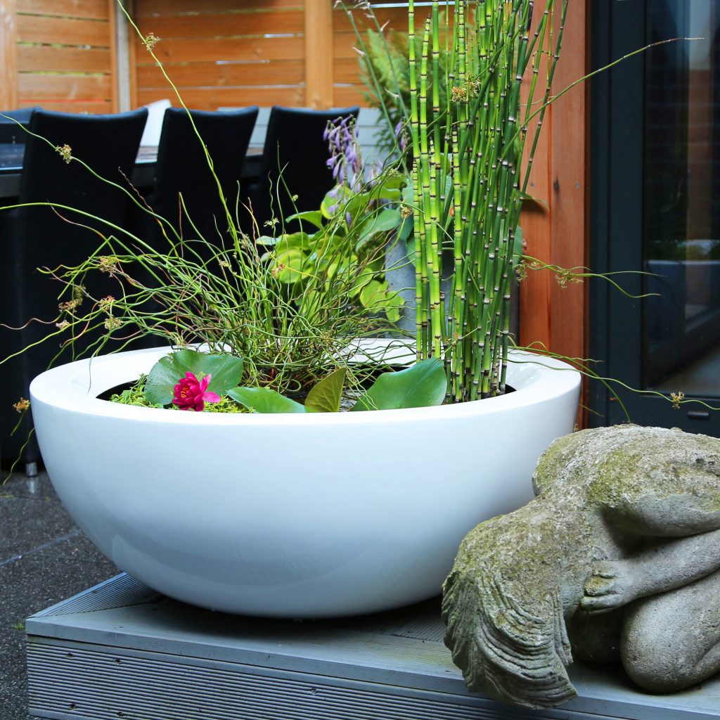 white-bowl-planter by europlanters