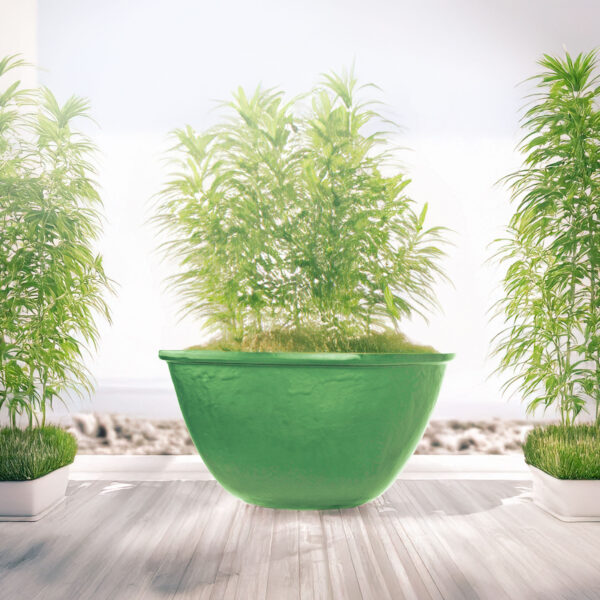 Boat Pot - Image 2