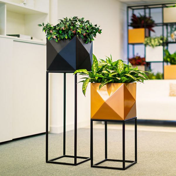 OAKLEY-narrow-STAND-WITH-DIAMOND-PLANTER by europlanters