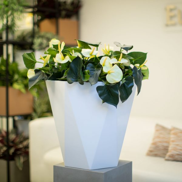 HEBDEN-TALL-VASE planter by europlanters