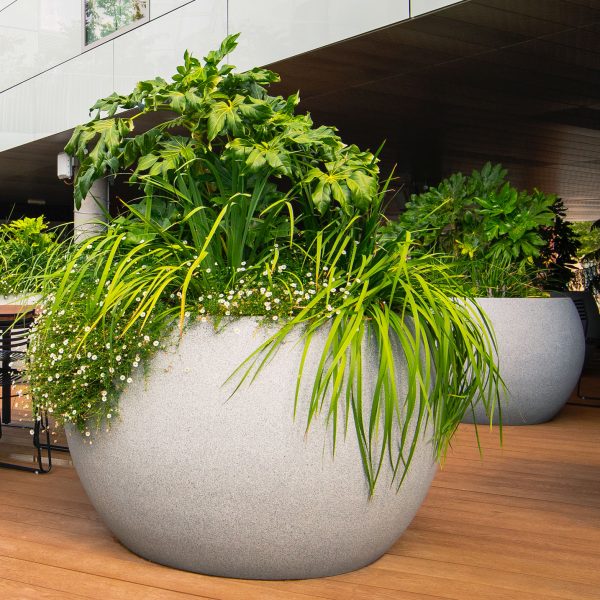 Eyam planter by Europlanters