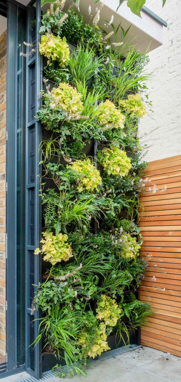 Plantbox Living Wall