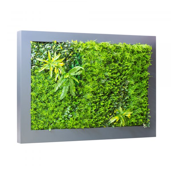 Wall-Mounted-Rectangular-Planter-Frame-RPF-by europlanters