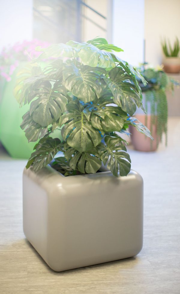 Hetton cube planter by europlanters