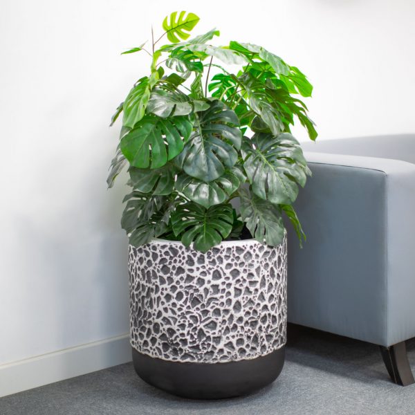BURREN ONE-PLANTER by Europlanters