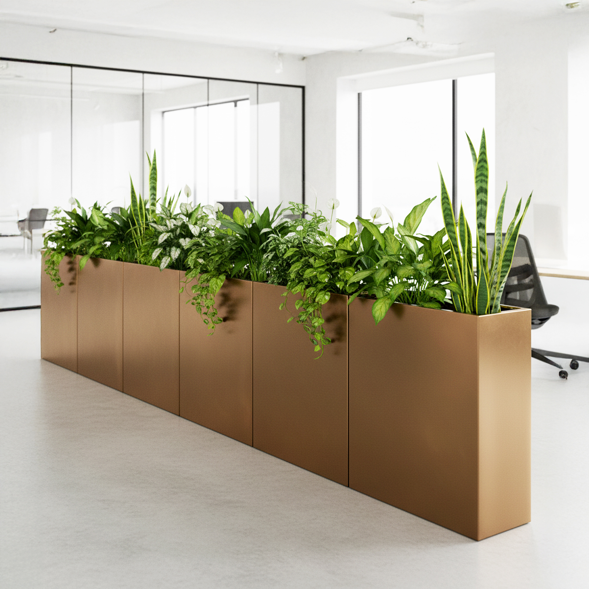 Tall Troughs - Image 4