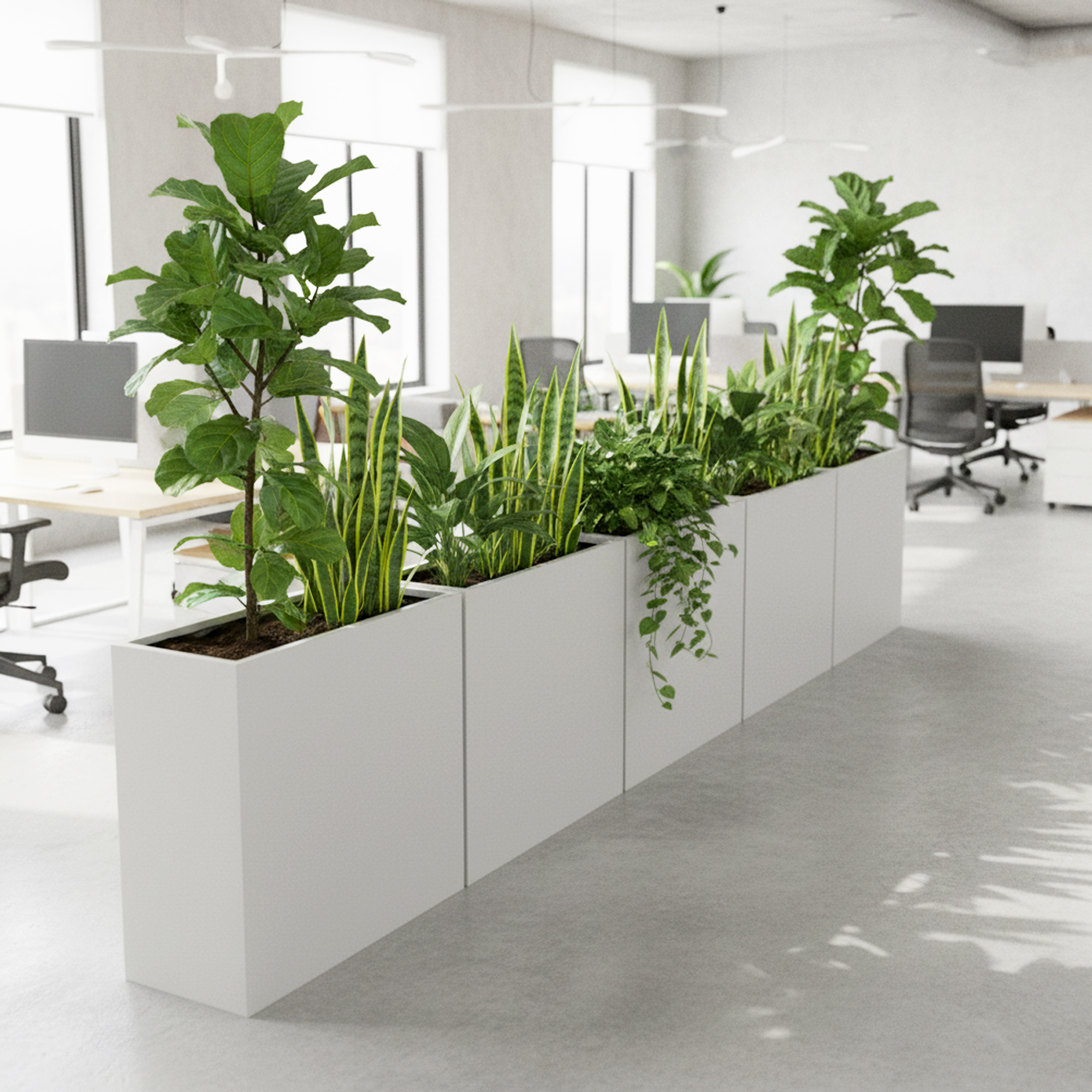 Tall Troughs - Image 2