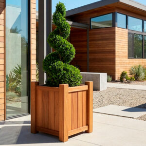 Sapele Versailles Cube – Clearance