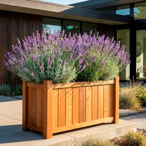 Sapele Versailles Trough – Clearance